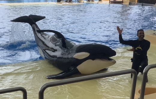 Loro Parque Teneriffa Juli 2024