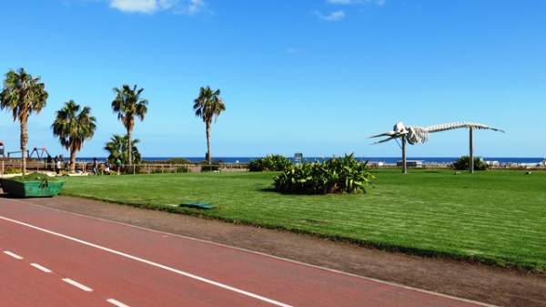 Fuerteventura RIU Palace Jandia im Mrz 2018