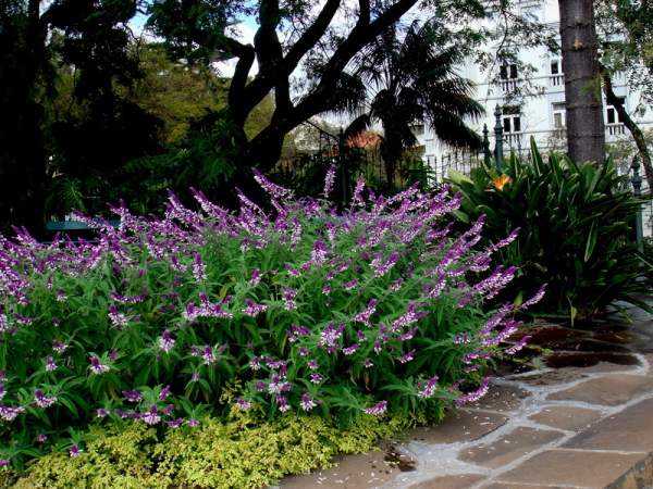 Santa Catarina Park in Funchal/Madeira