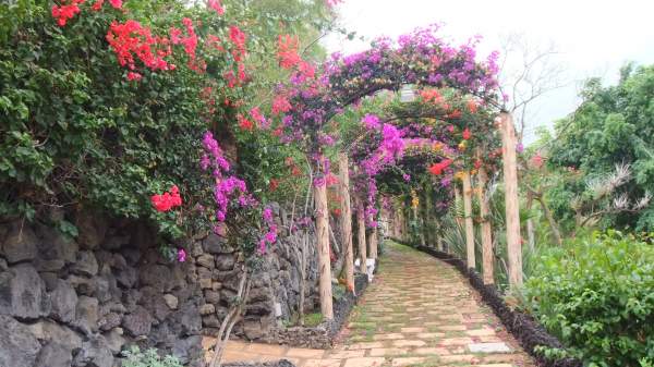 Hotel Maritim Tenerife - Los Realejos