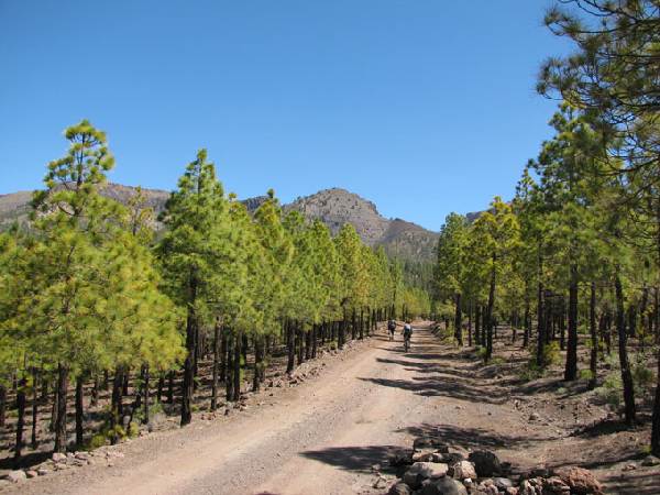 Mountainbike - Teneriffa